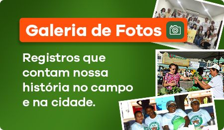 Galeria de Fotos