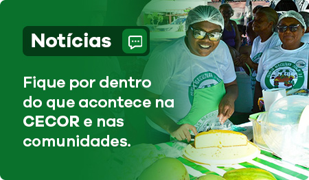 Notícias