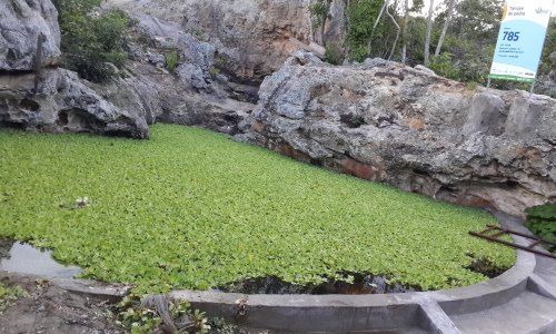 Tanque de Pedra ou caldeirão