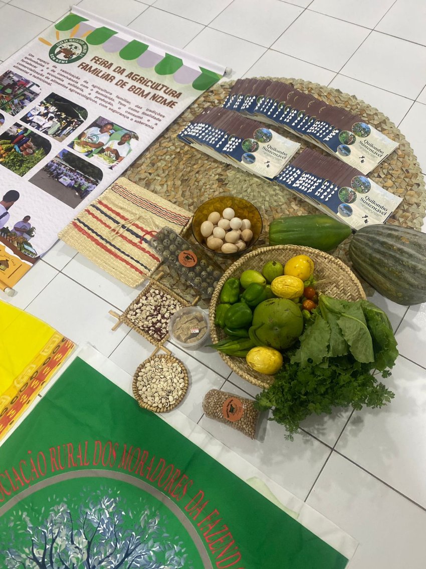 Seminário de Avaliação do Projeto Quilombo Sustentável e Lançamento da cartilha com sistematização dos resultados | Imagem 1