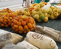 FEIRA AGROECOLOGICA DE SANTA CRUZ DA BAIXA VERDE