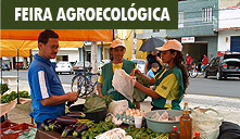 Feira Agroecológica