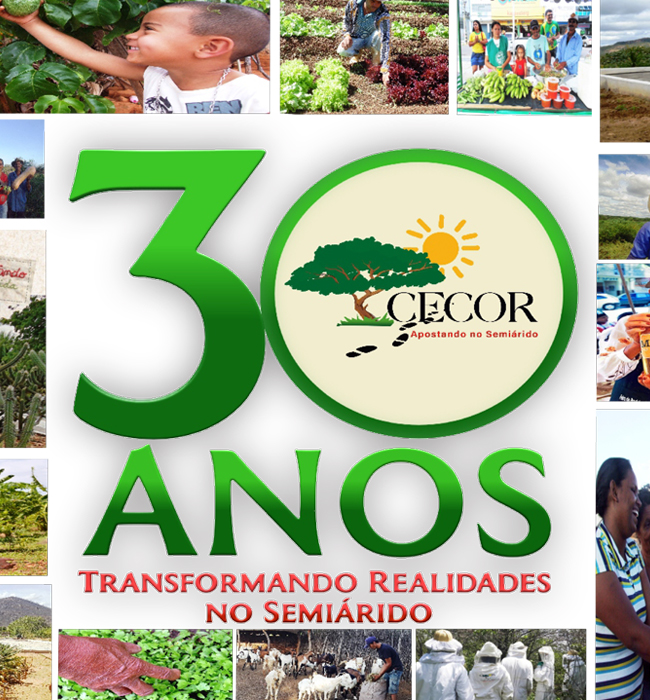 30 anos
