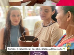 Encontro Estadual - Agroecologia: Convivência com os Territórios Brasileiros e Justiça Climática
