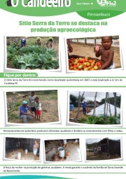 Sítio Serra da Torre se destaca na produção agroecológica