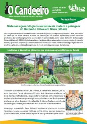 Sistemas agroecológicos sustentáveis mudam a paisagem do Quilombo Catolé em Serra Talhada